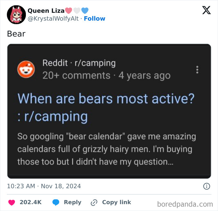 Reddit post humorously discussing bear activity and grizzly hairy men with a funny camping-related comment.