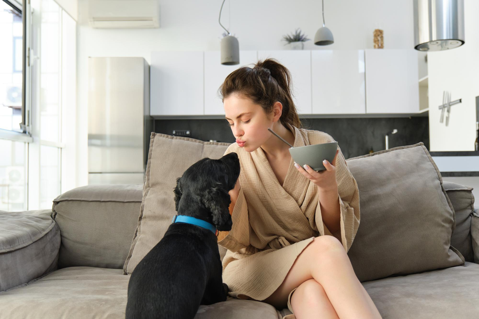 Young woman in robe sitting on sofa showing affection to black dog inside modern home dog care home drama concept Young woman in robe sitting on sofa showing affection to black dog inside modern home dog care home drama concept