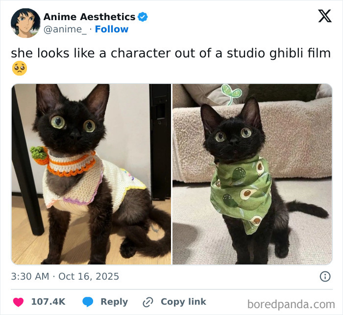 Two black cats wearing cute knitted and avocado-themed outfits, featured in cheerful memes about wasting time online.