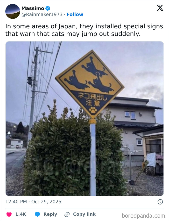 Road sign in Japan warning drivers about cats jumping out suddenly, a funny and wholesome animal post.