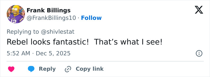 User comment praising Rebel Wilson’s photo with Ariana Grande gaining attention for bizarre detail noticed by people online User comment praising Rebel Wilson’s photo with Ariana Grande gaining attention for bizarre detail noticed by people online