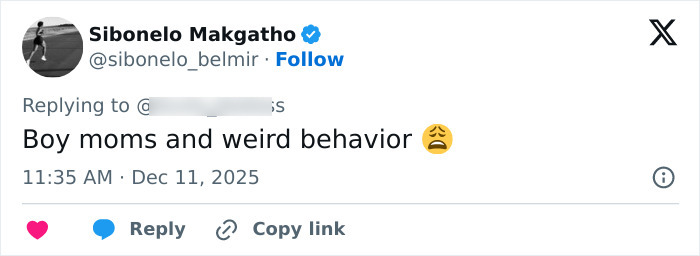 Social media post commenting on mother-son photoshoot sparking debate about dating own son and parenting choices.