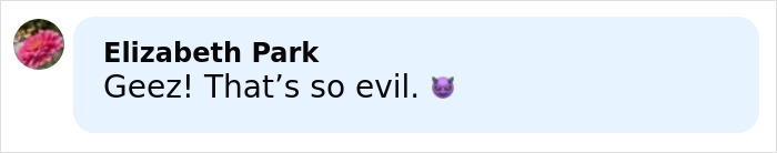Facebook comment by Elizabeth Park expressing shock and calling the wedding tragedy evil with a purple devil emoji.