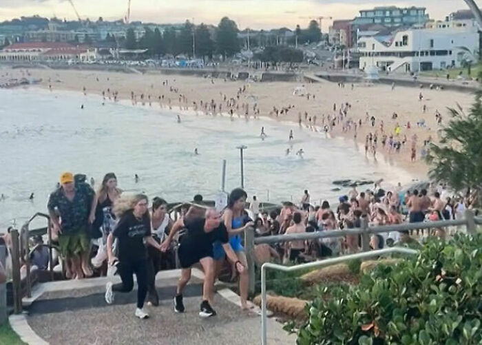 Crowded Bondi Beach with people walking up stairs, related to single mom's tone deaf GoFundMe controversy after attack. Crowded Bondi Beach with people walking up stairs, related to single mom's tone deaf GoFundMe controversy after attack.