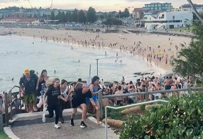 Crowd rushing up stairs at Bondi Beach during a Hanukkah event as hero disarms attacker, capturing global attention. Crowd rushing up stairs at Bondi Beach during a Hanukkah event as hero disarms attacker, capturing global attention.