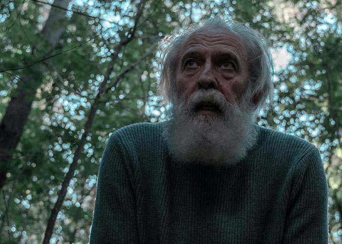Elderly man with a white beard in a remote forest, looking up in a creepy and mysterious setting.