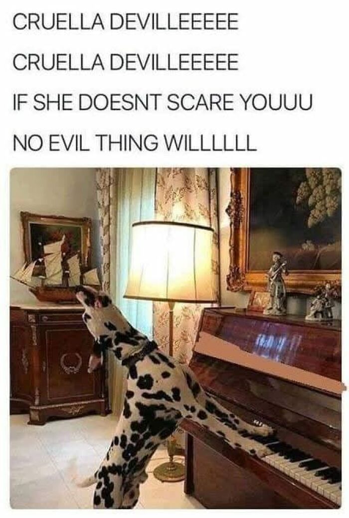 Dalmatian dog standing on hind legs playing piano in a room with classic furniture, cute and sweet animal memes.