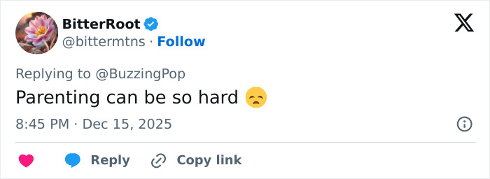 Twitter post from BitterRoot expressing the difficulty of parenting with a sad emoji on December 15, 2025.