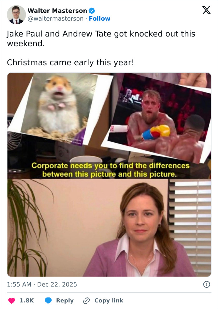 Meme comparing a confused hamster and Jake Paul’s broken jaw boxing moment with a woman asking to find differences.