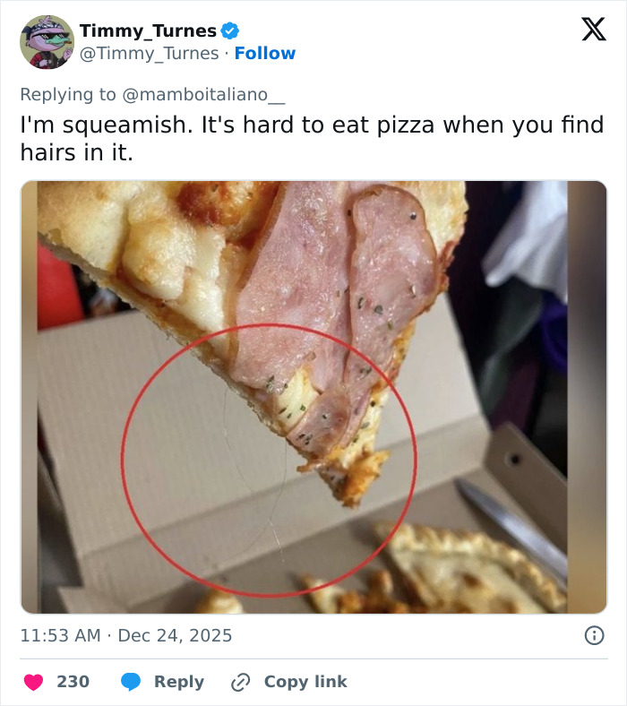 Slice of ham pizza with a hair circled in red, illustrating a viral pizza maker incident trending online. Slice of ham pizza with a hair circled in red, illustrating a viral pizza maker incident trending online.