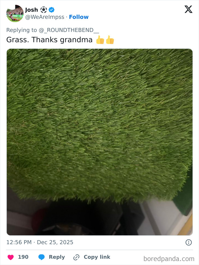 Artificial grass received as one of the worst Xmas presents, showing a close-up of fake green turf indoors.