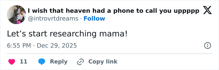 Screenshot of a tweet from user @introvrtdreams saying Let&rsquo;s start researching mama, related to Chappell Roan backlash.