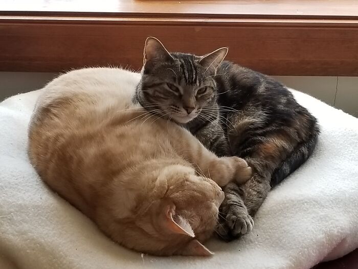 Best Friends. Butters And Scamper