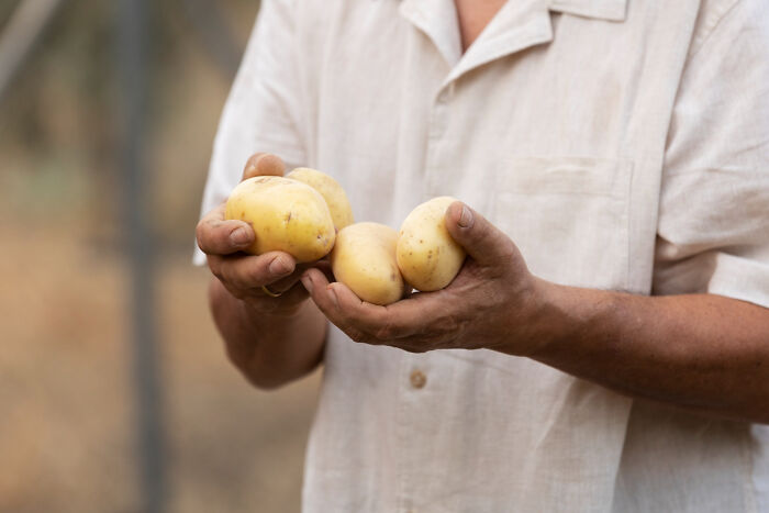 Person holding four potatoes in hands, illustrating a quirky scene related to crazy airport stories.