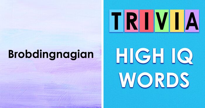 26 Hard English Words To Test Your Vocabulary Skills – Take The Quiz And Prove Your Smarts