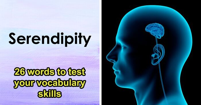 English Might Be Easy, Until You’ve Never Heard Hard Vocabulary Before – Define These 26 Words