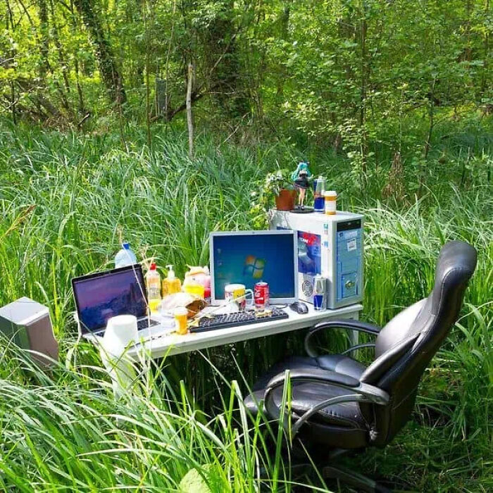 Outdoor work setup with old computer and chair surrounded by tall grass in a trippy picture that seems plucked from another reality