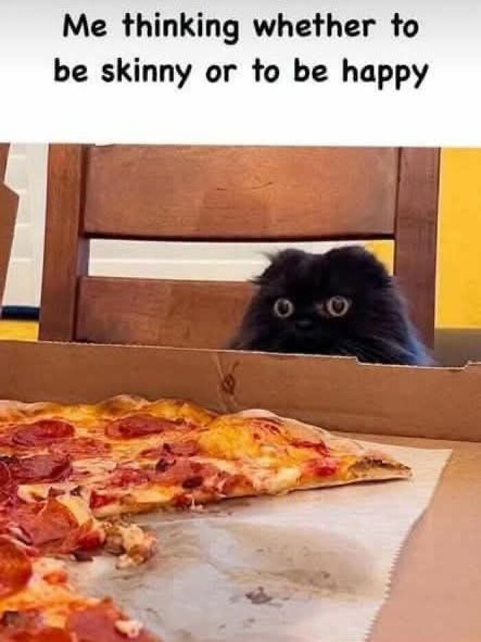 Black fluffy cat staring at pizza with caption about choosing to be happy or skinny in cute animal memes.