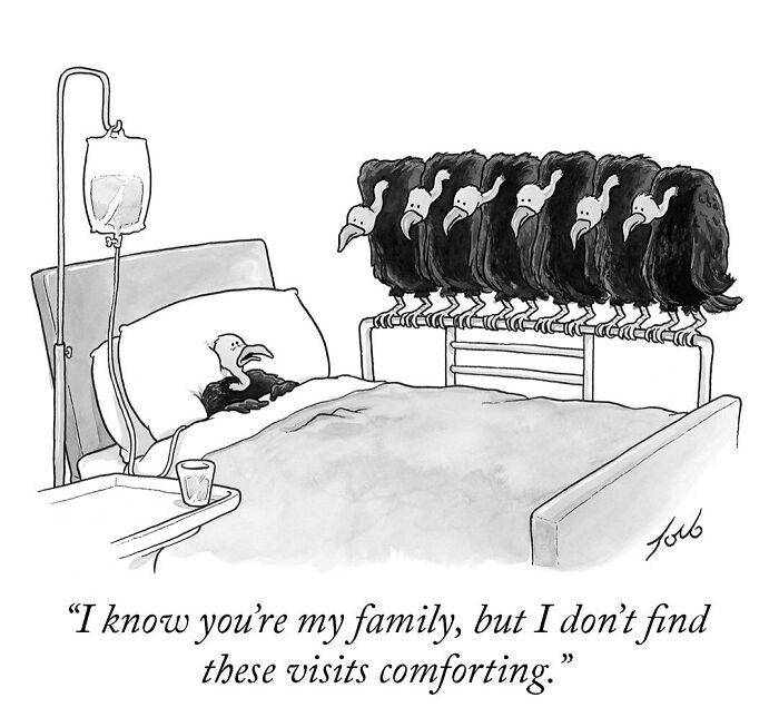 One-panel comic by Tom Toro showing a vulture patient in a hospital bed visited by vultures, highlighting dark humor.