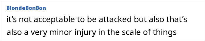 Comment discussing the acceptability of a minor injury from a Christmas nanny kid bite incident. Comment discussing the acceptability of a minor injury from a Christmas nanny kid bite incident.