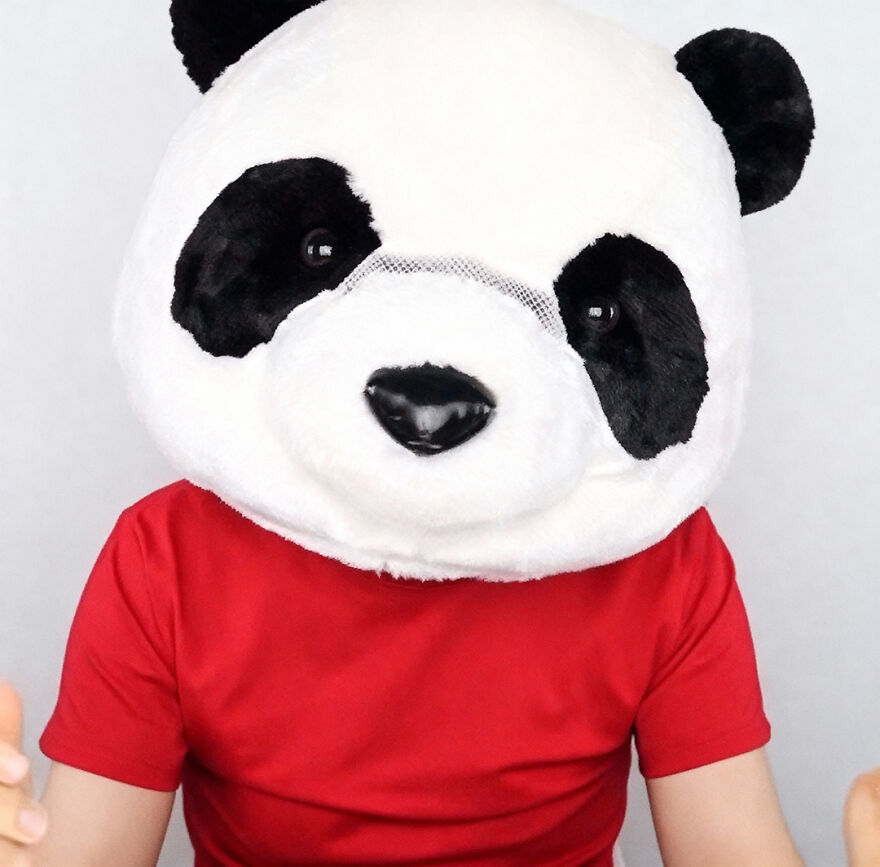 Person wearing a large panda head costume and a red shirt, representing Nikocado Avocado cosmetic surgery results concept. Person wearing a large panda head costume and a red shirt, representing Nikocado Avocado cosmetic surgery results concept.