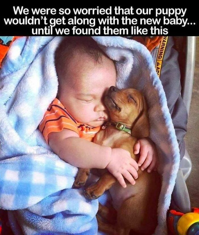 Baby and puppy cuddling together wrapped in a blanket, showing adorable cute dogs posts of friendship and comfort.