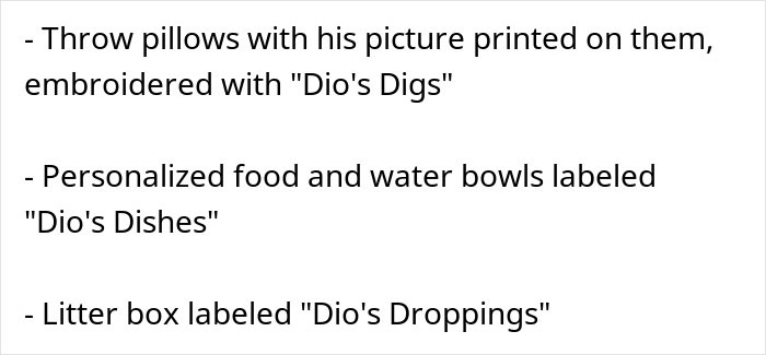 Text listing personalized items for a cat named Dio, related to a sister demanding family rehome or rename the cat. Text listing personalized items for a cat named Dio, related to a sister demanding family rehome or rename the cat.