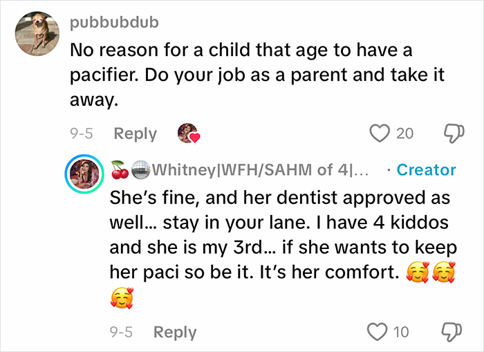 Comments on viral homeschool clip show people questioning parenting choices over child's pacifier use.