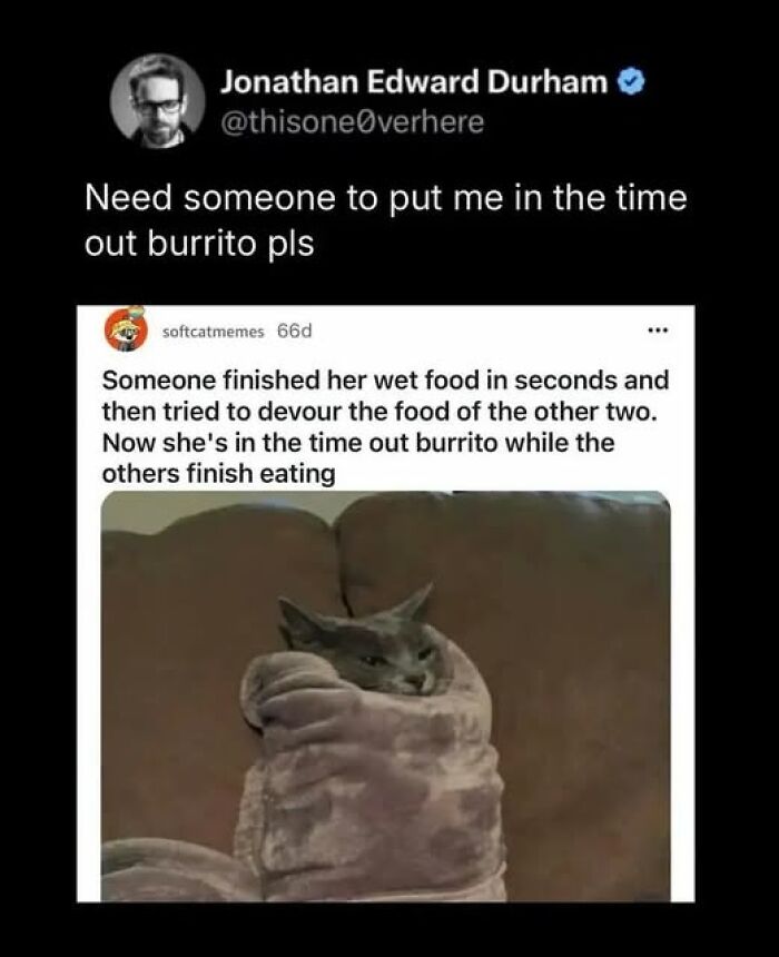 Cat behaving like a jerk wrapped in a blanket burrito during time out for food stealing from other cats.