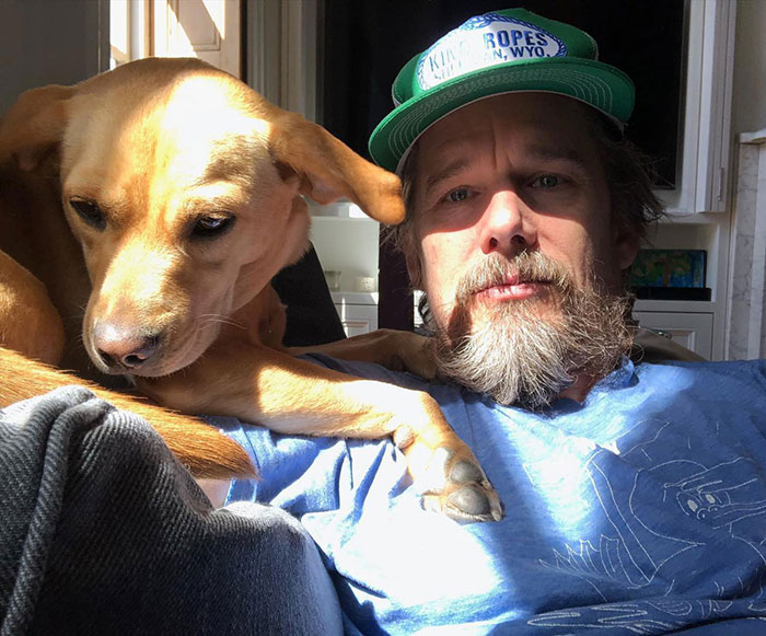 Ethan Hawke sitting with a dog indoors, natural light highlighting his face, sparking online firestorm discussions.