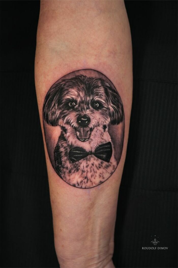 Realistic pet portrait tattoo on forearm, a beautiful tribute capturing the memory of a beloved dog with detailed shading.