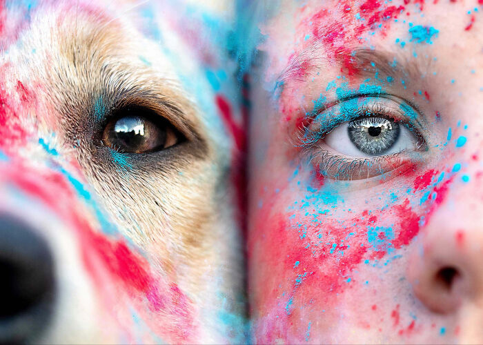 Close-up of a dog and person’s face covered in colorful paint, showcasing a unique dog photo from top pet photography awards.