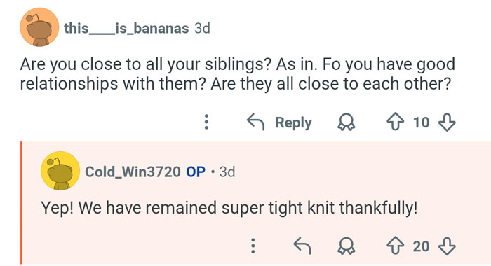 Screenshot of a conversation where a man who has 21 siblings describes their close, tight-knit relationships.