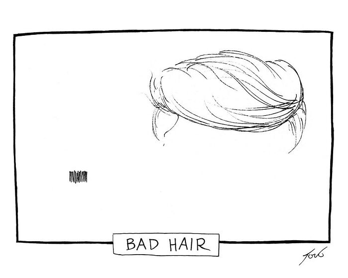 One-panel comic by New Yorker cartoonist Tom Toro showing minimal hair with caption bad hair.