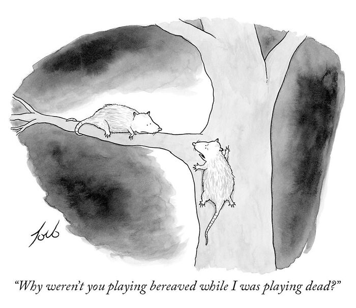 One-panel comic by New Yorker cartoonist Tom Toro showing two possums, one playing dead and the other climbing a tree.