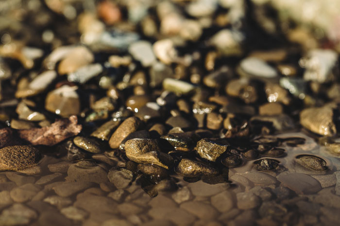 Close-up of wet pebbles and stones in shallow water, capturing details that people start to question if they really saw.