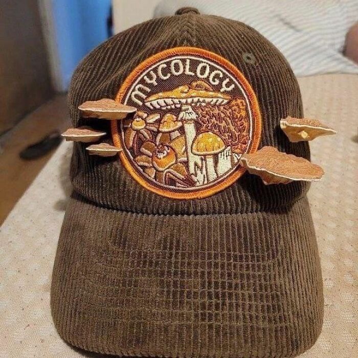 Brown corduroy hat with embroidered mushrooms and fungi, featuring shelf mushrooms growing out, creating a trippy picture.