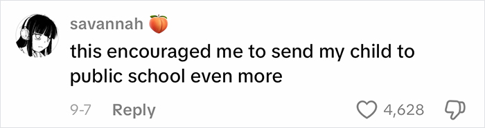 Comment on viral homeschool clip expressing desire to send child to public school, raising questions about parenting choices.
