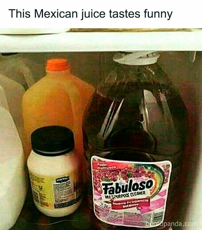 A fridge shelf with a large cleaner jug mistaken for Mexican juice, highlighting wild dude fridge contents.