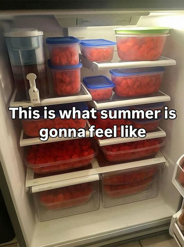 Refrigerator packed with containers of cut watermelon, showcasing a wild dude fridge filled for summer.