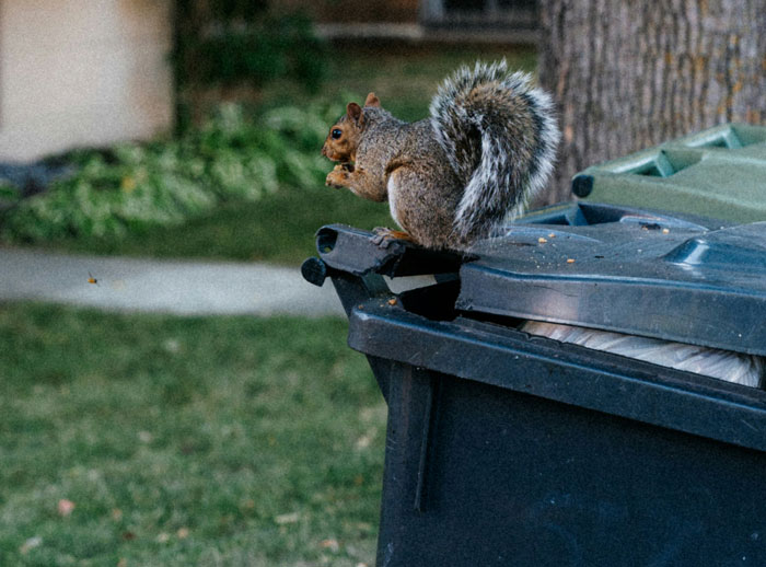 52 Most Unbelievable Things People Saw That Left Everyone Else Rolling Their Eyes