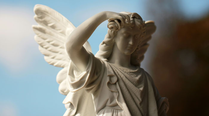 52 Most Unbelievable Things People Saw That Left Everyone Else Rolling Their Eyes