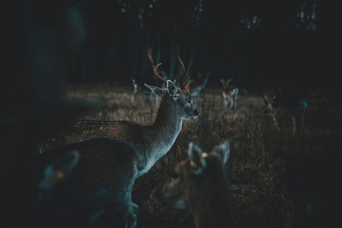 52 Most Unbelievable Things People Saw That Left Everyone Else Rolling Their Eyes