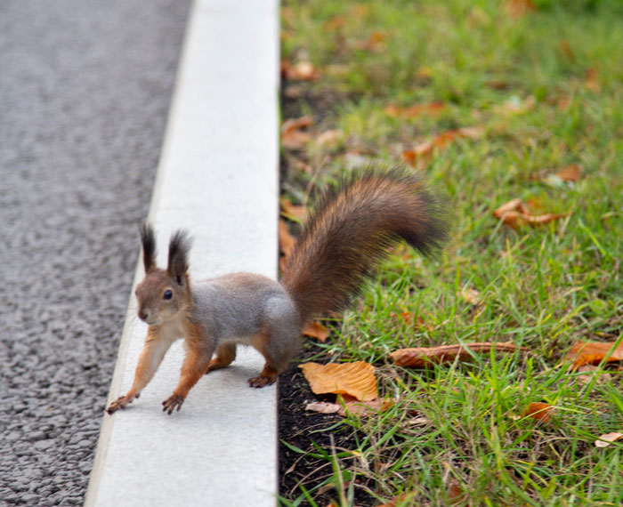 52 Most Unbelievable Things People Saw That Left Everyone Else Rolling Their Eyes