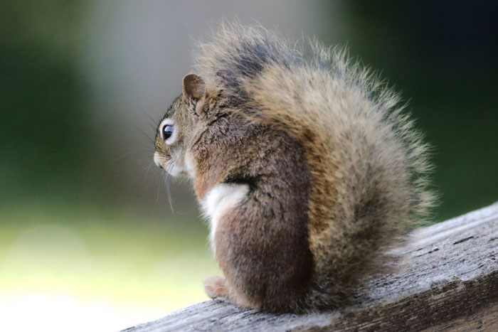 52 Most Unbelievable Things People Saw That Left Everyone Else Rolling Their Eyes