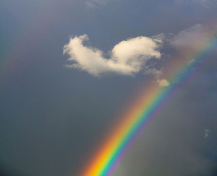 52 Most Unbelievable Things People Saw That Left Everyone Else Rolling Their Eyes