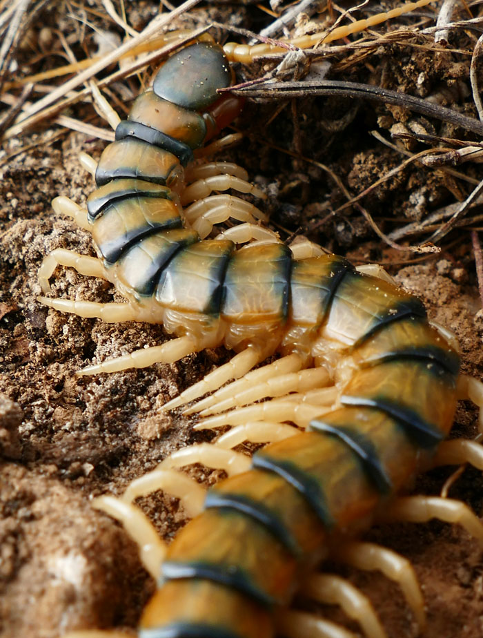 “I Still Think About It To This Day”: 52 Times People Witnessed Nearly Unbelievable Things