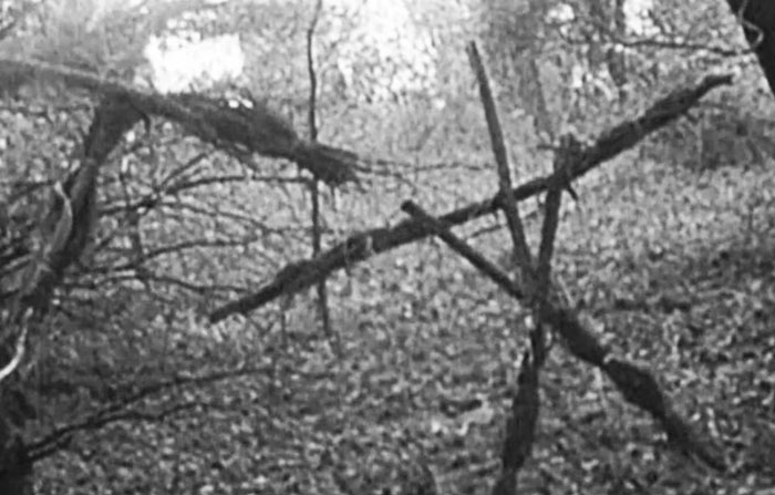 Dark, eerie woods with twisted branches, evoking the unsettling feeling of people who couldn't sleep after time outdoors.