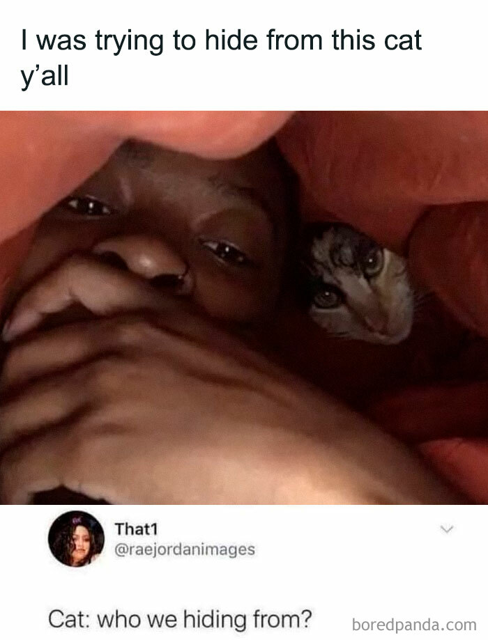Person hiding under a blanket with a cat peeking out, showcasing cute and chaotic cat content humor.