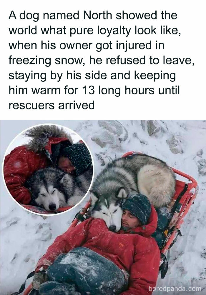 Man and loyal dog resting together in snow, symbolizing existence and reality in the universe’s cold environment.